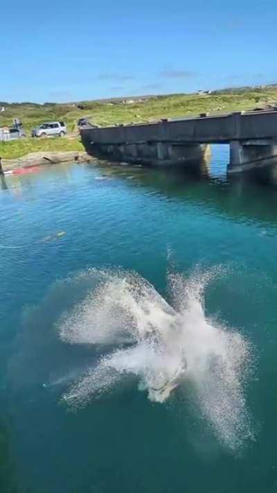 My Dad's attempt at his bucket list back-flip into the ocean on his 63rd Birthday.