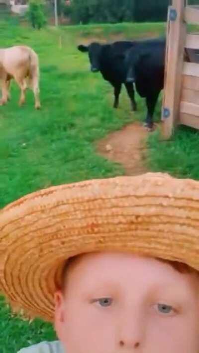 Plantação de churrasco