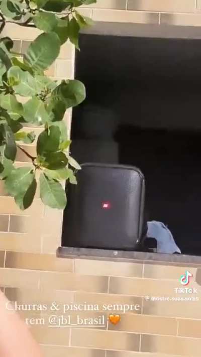 Brazil-Larissa Manoela