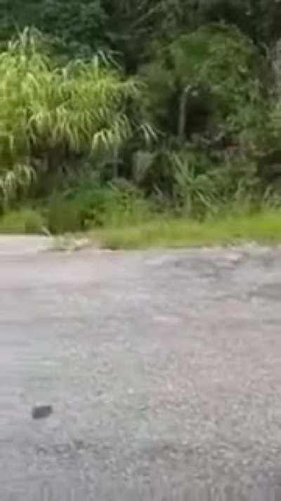 They just came down to ask for the camera to be turn-off!