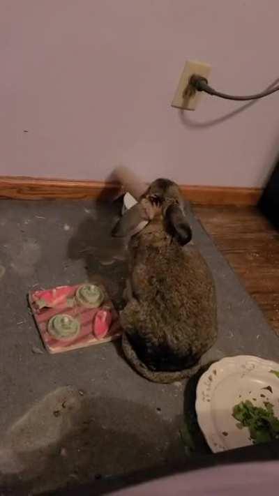 Why is she like this?