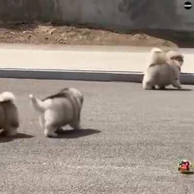 Tengan un poco de serotonina panas