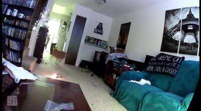 to play with a dog toy. Punctured the battery.