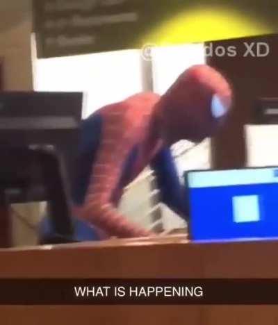 Spider-verse confirmado