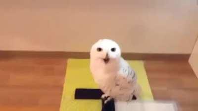 It's either super funny or super creepy, but it's SUPER(b) either way.