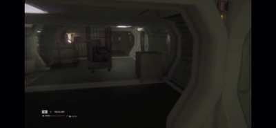 Horrifying moment from my stream