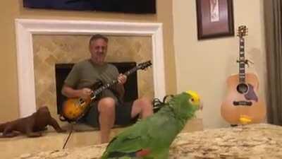 AC/DC - Whole Lotta Rosie