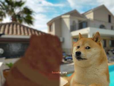 New Age Of Doge (Short Film). YouTube link in comments!