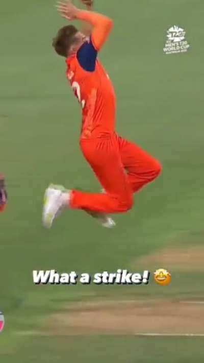 Faulkner is that you!?