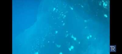 Guy drops iPhone into a hot spring and records absolutely chilling sounds. I felt sick the first time I heard it. 🔊🔊