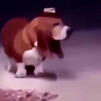 corte empresario (dog version)