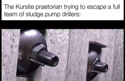 Aint no hiding from me, bug