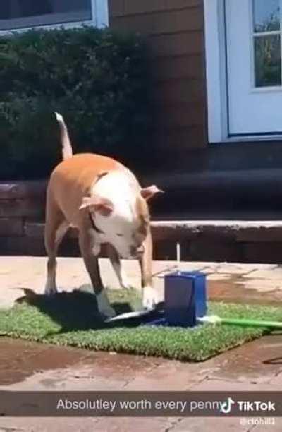 Your water dispenser is broken, Bob