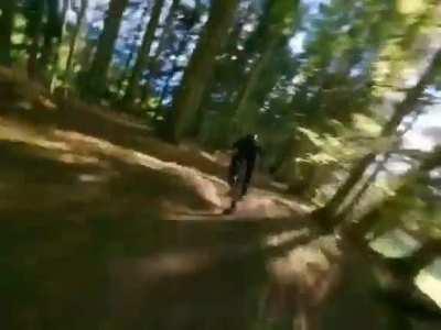 This trip through the French Alps