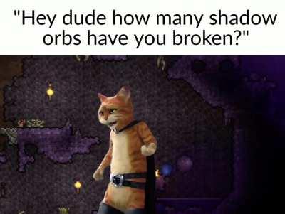 You still get loot even if you lose