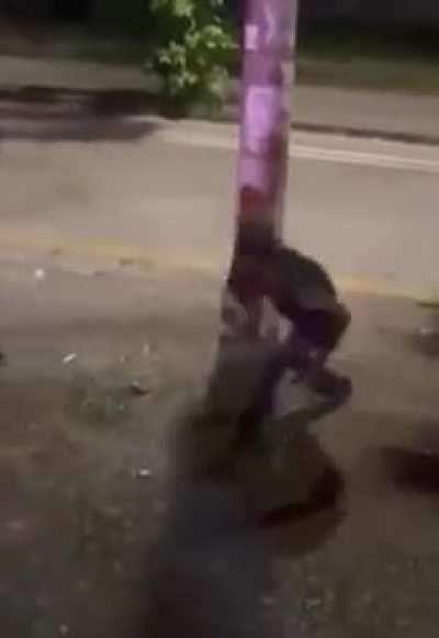 Does anyone have a better quality version of this?