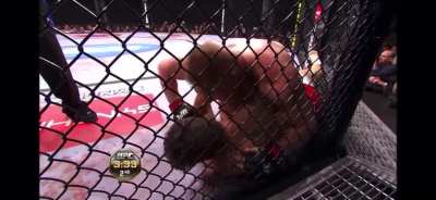 Brock Lesnars unforgettable smashing of Frank Mir (UFC 100)