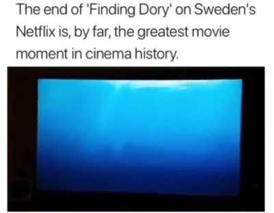 What are we finding Dory for?