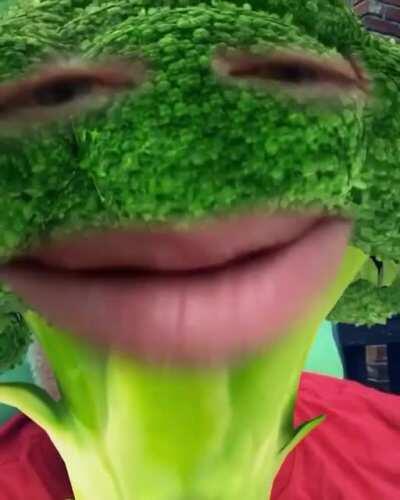 Man is crying in pain after he discovers the harmful effects of eating russian vegetables