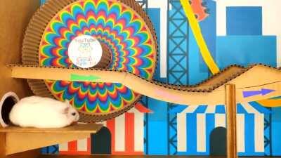 The engineer and the hampster