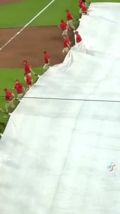 Man is eaten by hungry Tarp