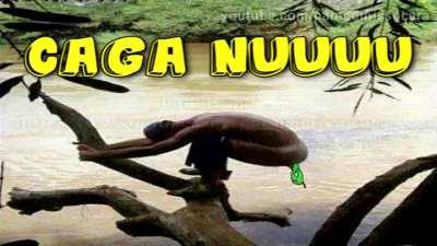 Créditos: Para com isso cara. MEU CELULA CAIU AÍ! SAÍ DAQUI!!!!! CARA!!!!!