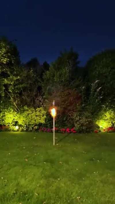 What is the end 🤔