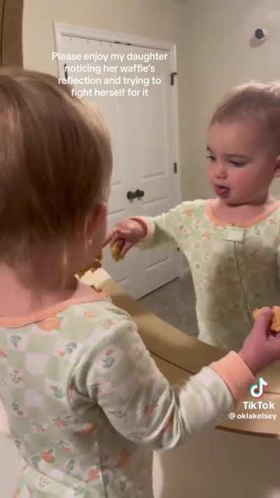 Fighting with the mirror world for your waffles