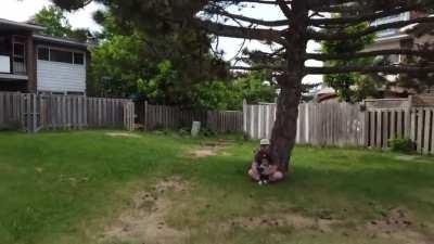 My dog almost got my drone today