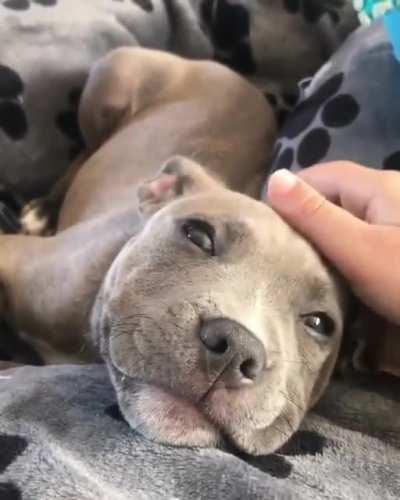 Such a peaceful looking face