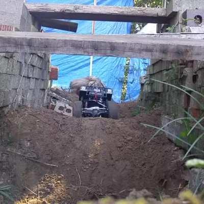 Cute Turtle Obstacle Course