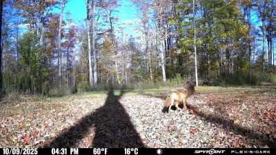 Late afternoon stroll
