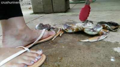 sexy ebony lady sexy feet