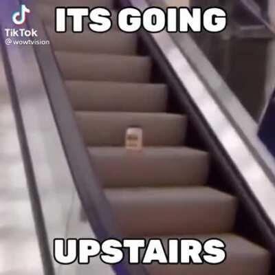 MAYONASE ON A ESCALATOR