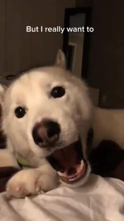 What do you think you're doing?