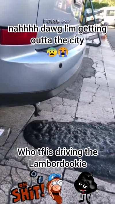 They see me rollin, they shiddin