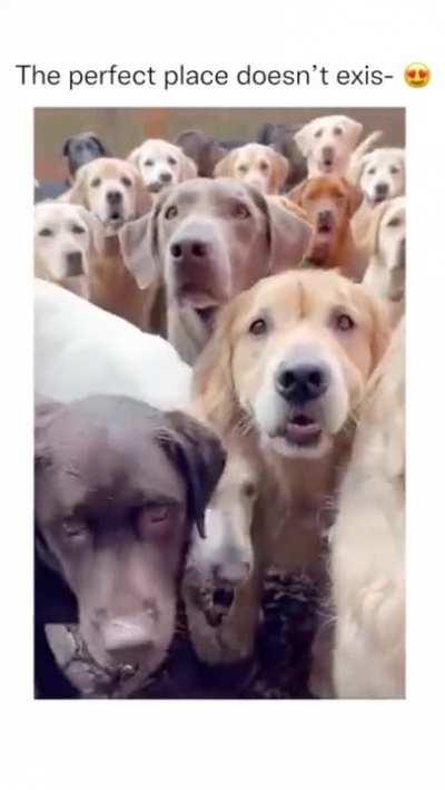 Smiling faces of all