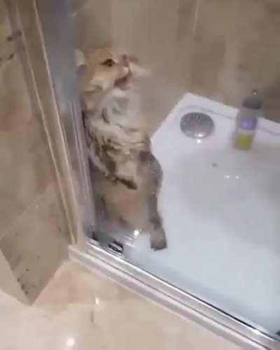 I will not take a bath.