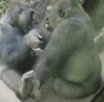 all of us have been on one side or the other on this one