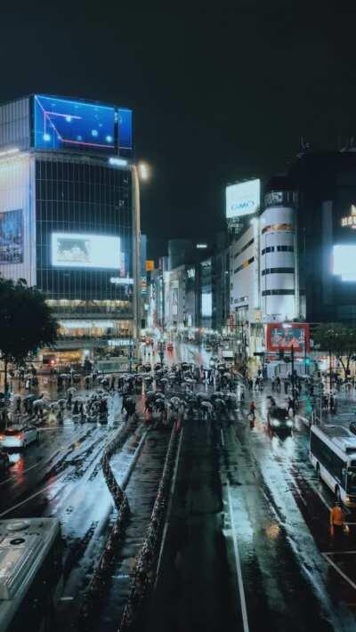 Shibuya Scramble in the rain last night