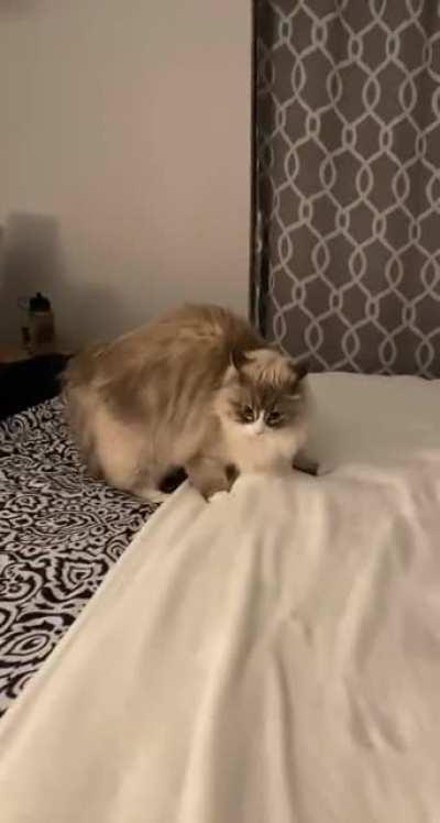 She’s ferocious 😼