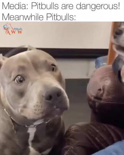 Don't be afraid of me ... I'm a good boy