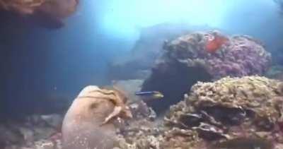 Sweaty tentacles (don’t google that)