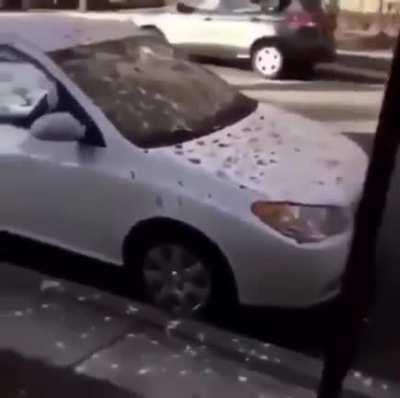 Some Humor 2 Lighten Up Ur Day.