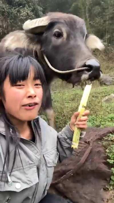 wachau wachau wachau..