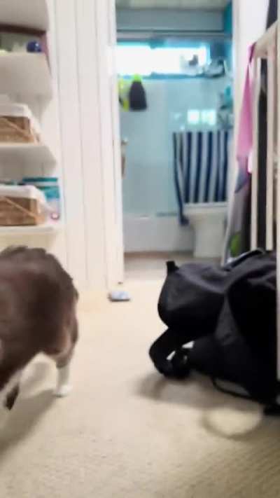 Are you happy? - Nooo.