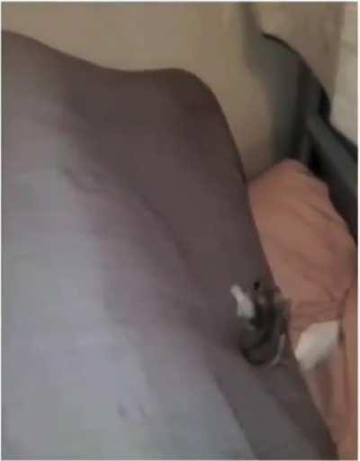 Whatever was bothering me before I watched this, doesn’t seem be bothering me anymore