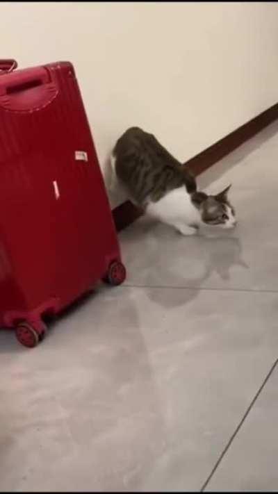 getting leverage for maximum dash speed