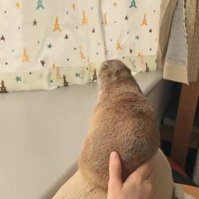 Did I tell you to stop?