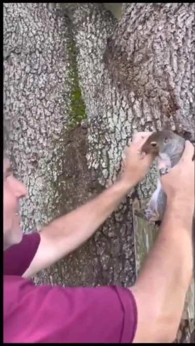 😐😐😐😐, beelce y rakkun cuando hagan irl juntos